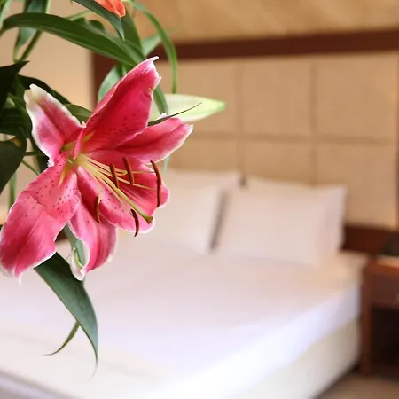 Aparthotel ιρισ/iris *