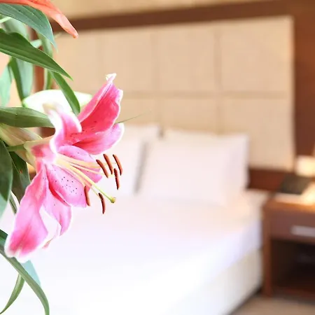 Aparthotel ιρισ/iris Nydri (Lefkada)